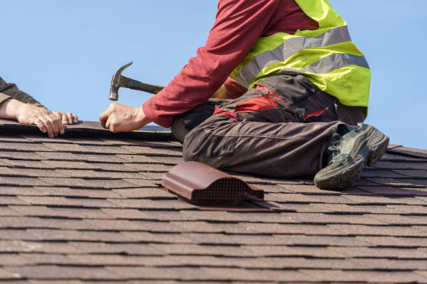Best Roof Gutter Cleaning  in Schertz, TX