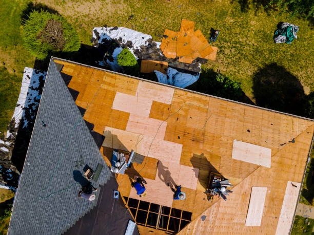 Professional Roofing Contractor in Schertz, TX